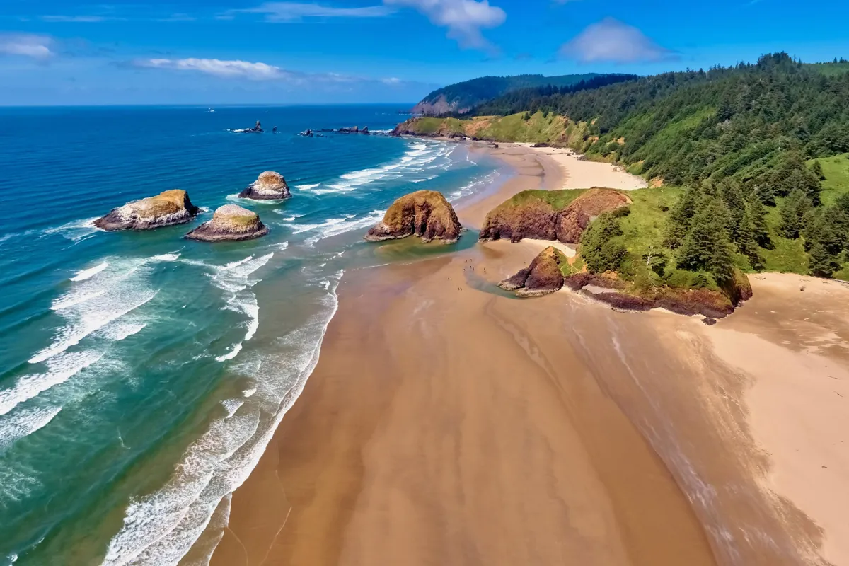 A tranquil exterior shot featuring a broad sandy beach, distinctive rock formations, ocean waves, forest, and sky. The setting feels peaceful yet rich with opportunities for wildlife viewing, tide pool exploration, and scenic walks.